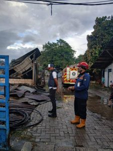 Si jagomerah berhasil di jinakan BPBD Kota Tangerang