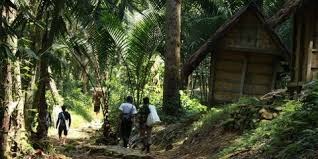 Warga Badui Luar berjalan di Kampung Kadu Ketug Lebak Banten.
