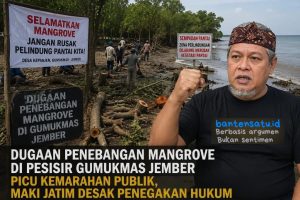 Foto dari udara menggunakan drone yang memperlihatkan garis pantai Desa Kepanjen yang kini gundul dan meranggas, menyisakan tunggul-tunggul pohon akasia dan mangrove pasca-aksi penebangan liar, kontras dengan latar belakang gulungan ombak laut selatan Jember.