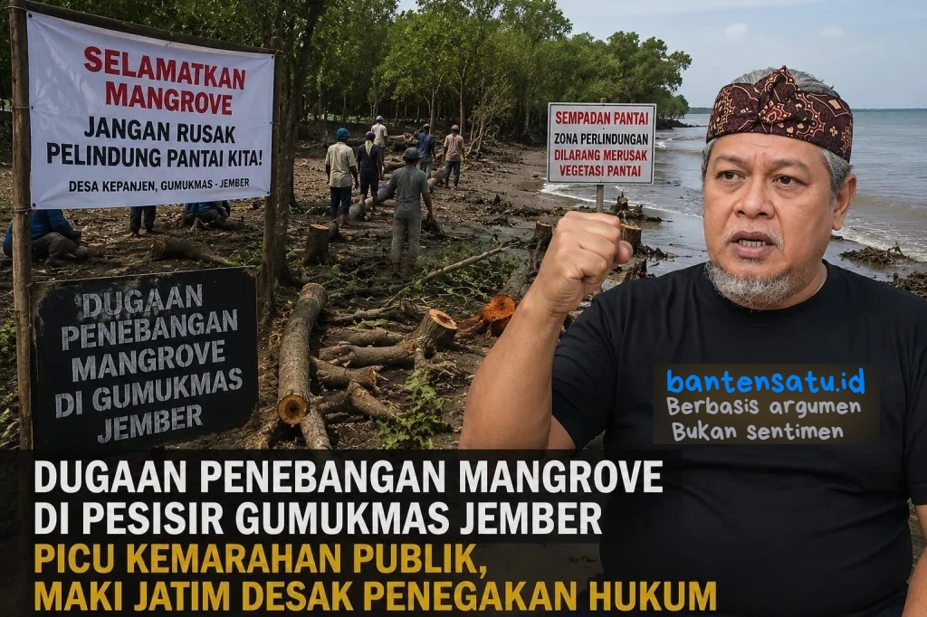 Foto dari udara menggunakan drone yang memperlihatkan garis pantai Desa Kepanjen yang kini gundul dan meranggas, menyisakan tunggul-tunggul pohon akasia dan mangrove pasca-aksi penebangan liar, kontras dengan latar belakang gulungan ombak laut selatan Jember.