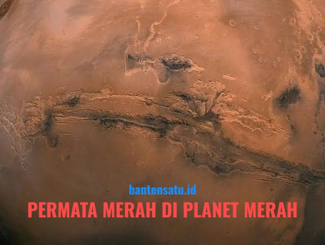 Fragmen batuan meteorit Mars NWA 8171 yang diletakkan di bawah lensa mikroskop elektron di laboratorium Royal Ontario Museum.